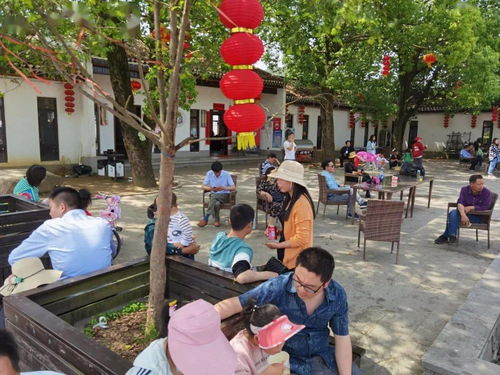 羅田假日旅游 產(chǎn)品豐富，服務(wù)文明有序