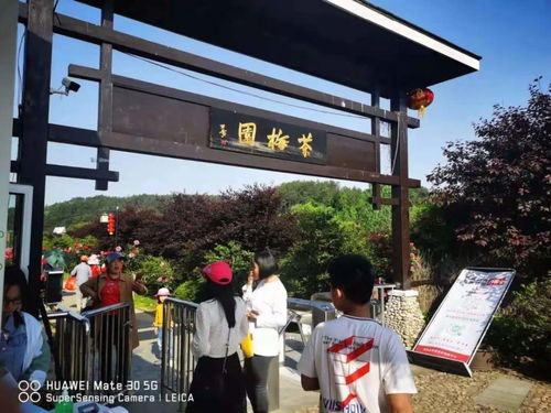 羅田假日旅游 產(chǎn)品豐富，服務(wù)文明有序